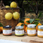 Scopri di più sull'articolo Origini della marmellata